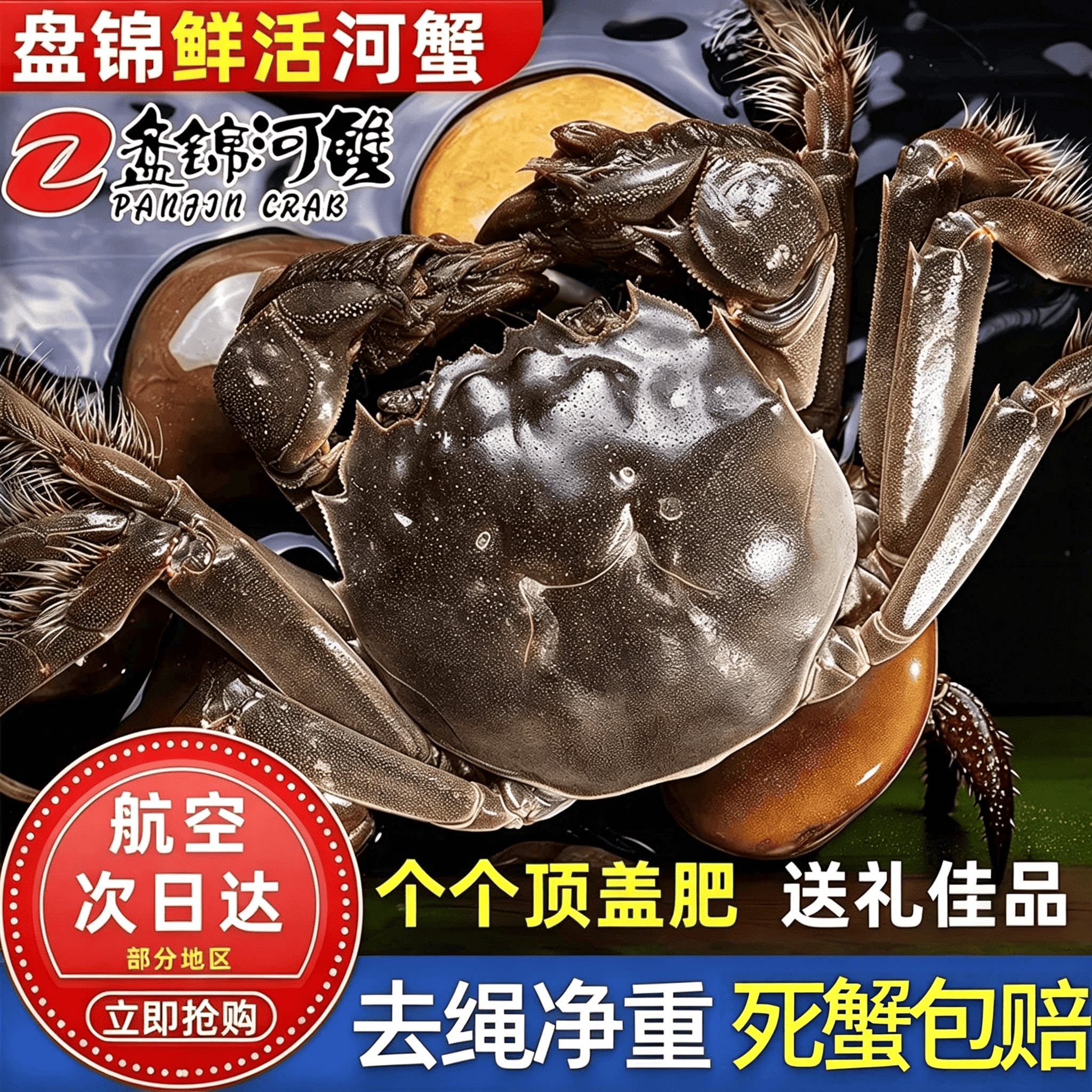 盘锦河蟹无绳净重鲜活盘锦螃蟹