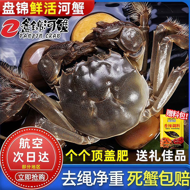 盘锦河蟹无绳净重鲜活盘锦螃蟹