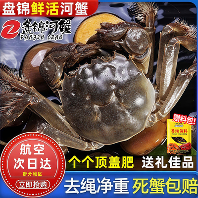 盘锦河蟹无绳净重鲜活盘锦螃蟹