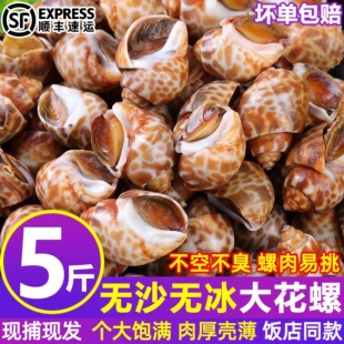 花螺新鲜冷冻野生小海螺速冻小香螺鲜冻水产特大号东风螺贝类顺丰