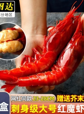 红魔虾鲜活大号刺身级红虾冷冻大虾新鲜海虾生吃非莫桑比克西班牙