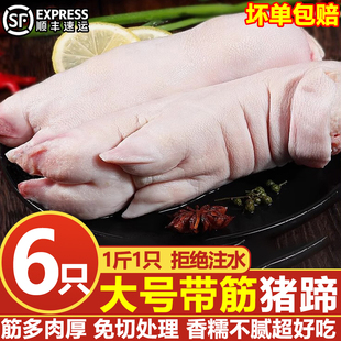带筋猪蹄现杀土猪整只新鲜散养农家猪手前蹄猪脚生鲜冷冻商用顺丰
