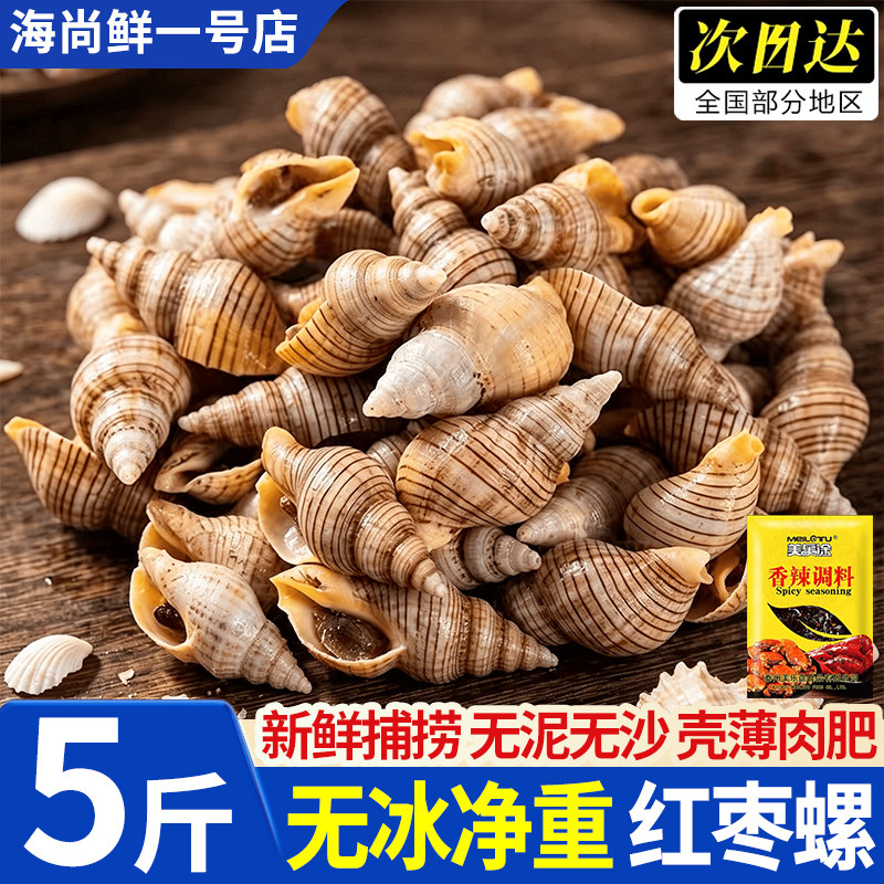 贝贝螺红枣螺白玉螺花螺小海螺丝海瓜子新鲜贝类酒店商用海鲜水产