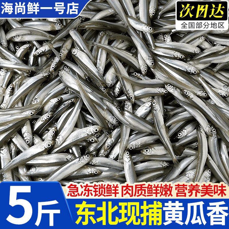 东北特产现捕速冻沼泽公鱼