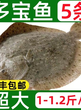 新鲜多宝鱼鲜活冷冻特大鸦片鱼比目鱼海鲜水产鲽鱼整条海鱼菱鲆鱼