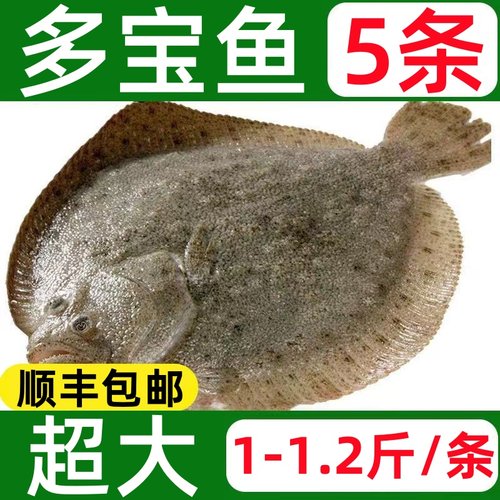 【多宝鱼1斤1条】超大鲜活速冻