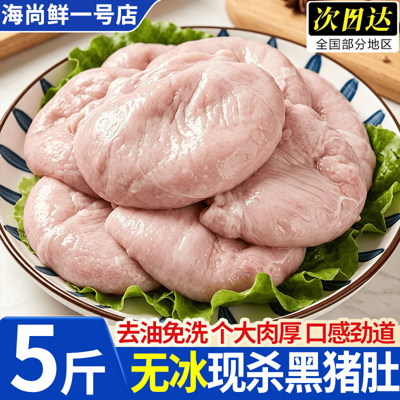 散养黑猪特厚去油免洗猪肚批发