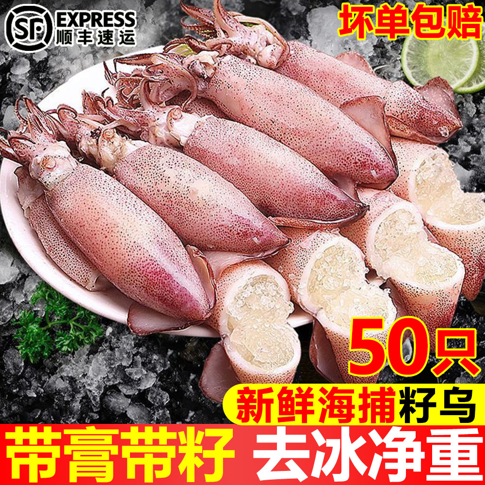 满籽无沙冷冻鱿鱼小墨鱼