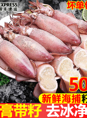 满籽籽乌全籽带籽新鲜笔管鱼小墨鱼鱿鱼满籽海兔子海鲜无沙小海兔