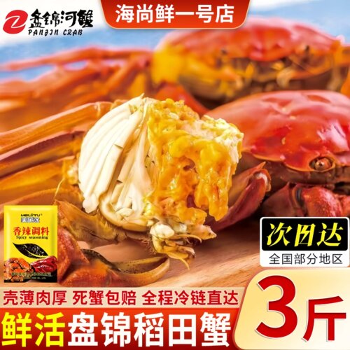 盘锦鲜活无绳净整只大闸蟹礼盒