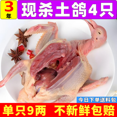 鸽子新鲜现杀农家散养顺丰包邮