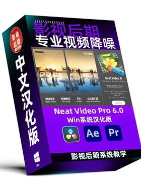 Neat Video Pro 6.0 专业视频降噪修复PR AE 达芬奇插件中文汉化