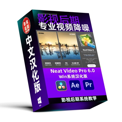 Neat Video Pro 6.0 专业视频降噪修复PR AE 达芬奇插件中文汉化