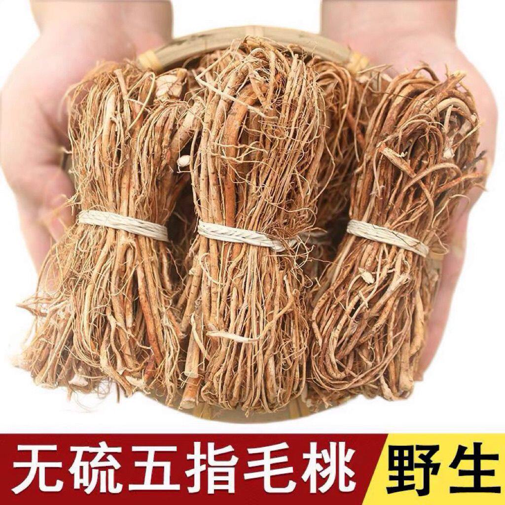 野生五指毛桃奶香浓郁河源五指牛奶根五爪龙批发煲汤泡酒嫩根干货