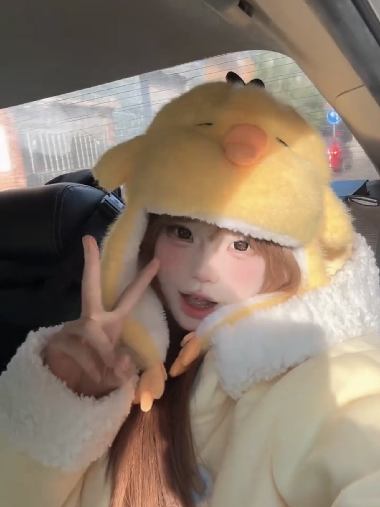 冬日萌物鼻孔鸡小可谁最可爱呀!鼻孔鸡毛绒雷锋帽护耳小可捏捏耳