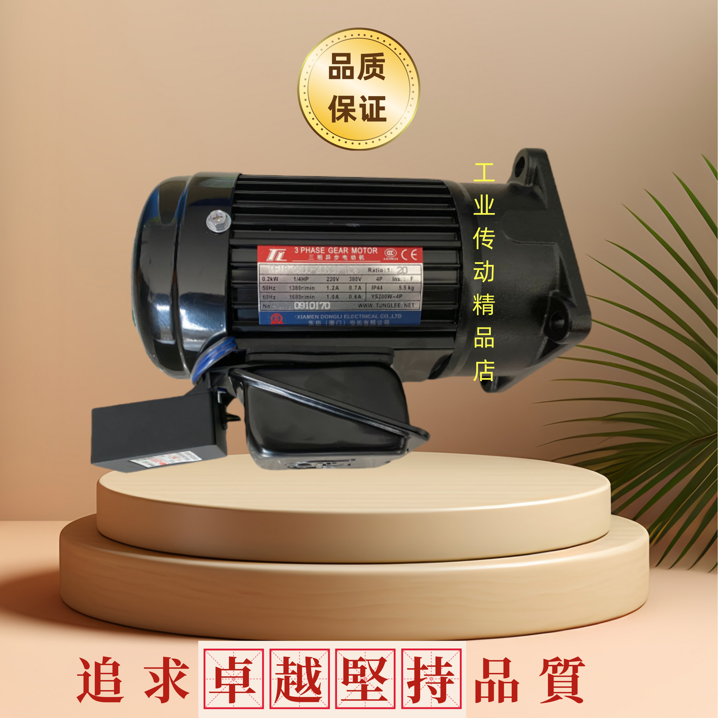 TTL东历厦门电机XIAMENDONGLI