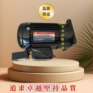 PF18 XIAMEN DONGLI马达 TD3 TL东历厦门电机 20S3B 0100