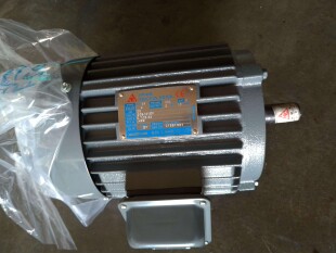 AEVE  AEEE  2P  1/2HP  0.37KW  台湾SEING电机   SEING马达  2P