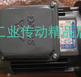 SEING电机  SEING马达  AEVF 2HP  1.5KW  90L
