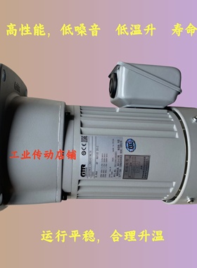 G3L32N40-MR08TNNTN NISSEI电机GTR减速电机G3L28N60-MM04TNNTN