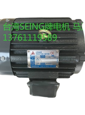 台湾SEING电机  SEING马达  AEEF 132SL 15HP  11KW 2P AEVF