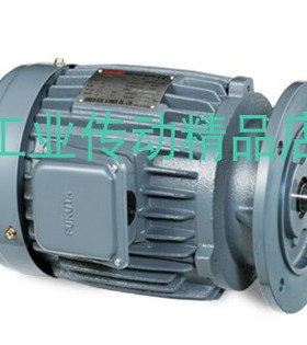 AEVF-IN2 160MS 15HP 11KW SEING ELEC.& MACH CO.,LT D电动机