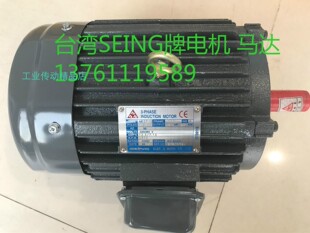 台湾SEING电机  马达  AEEF  4/8P  3HP  2.2KW