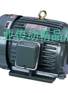AEEH-132S-4  JUNLING PAI电机 7.5HP  5.5KW马达  VE1-45F-A3 泵
