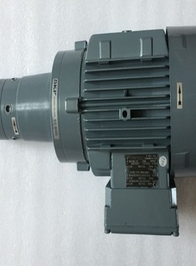 德国SKF多头泵 ZP505-S2   ZM505-S2+100 电机 马达 ZM505-S2+140