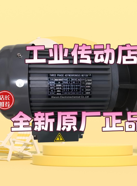 WSSB-750W-6P  GV750SB-6P WANXIN电机马达
