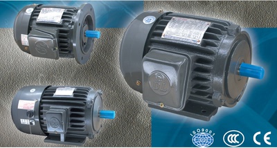 DOLIN电机  马达   DOLIN电机 DOLIN马达  AEF90L-4 AEEF80-4