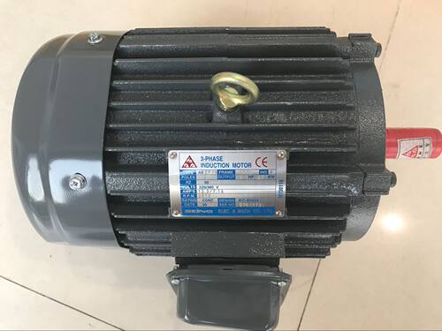 AEEF  160MS 4P  15HP 11KW  SEING电机 SEING马达   AEVF AEEFJI