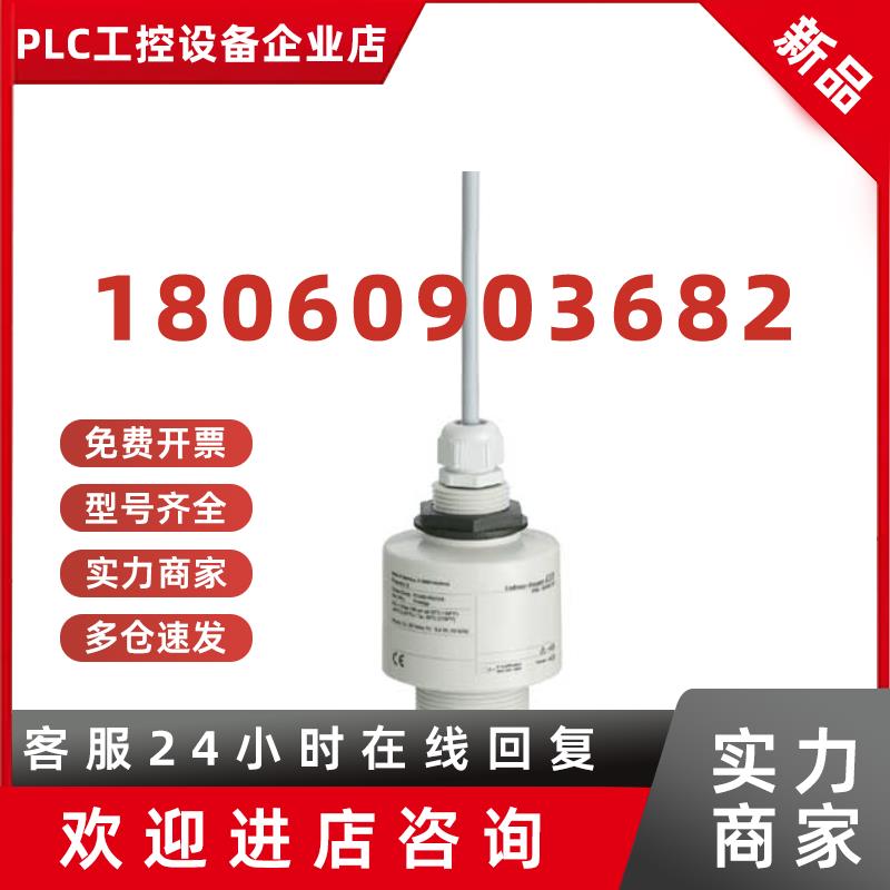 议价E+H 超声波液位计探头 FDU90-RG1AA( FDU90-1009/0) 原装正品