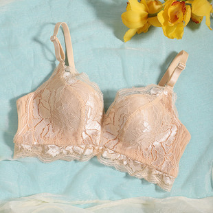 夏娃秘语乳胶舒适无钢圈文胸蕾丝性感小胸聚拢上托透气轻薄内衣女