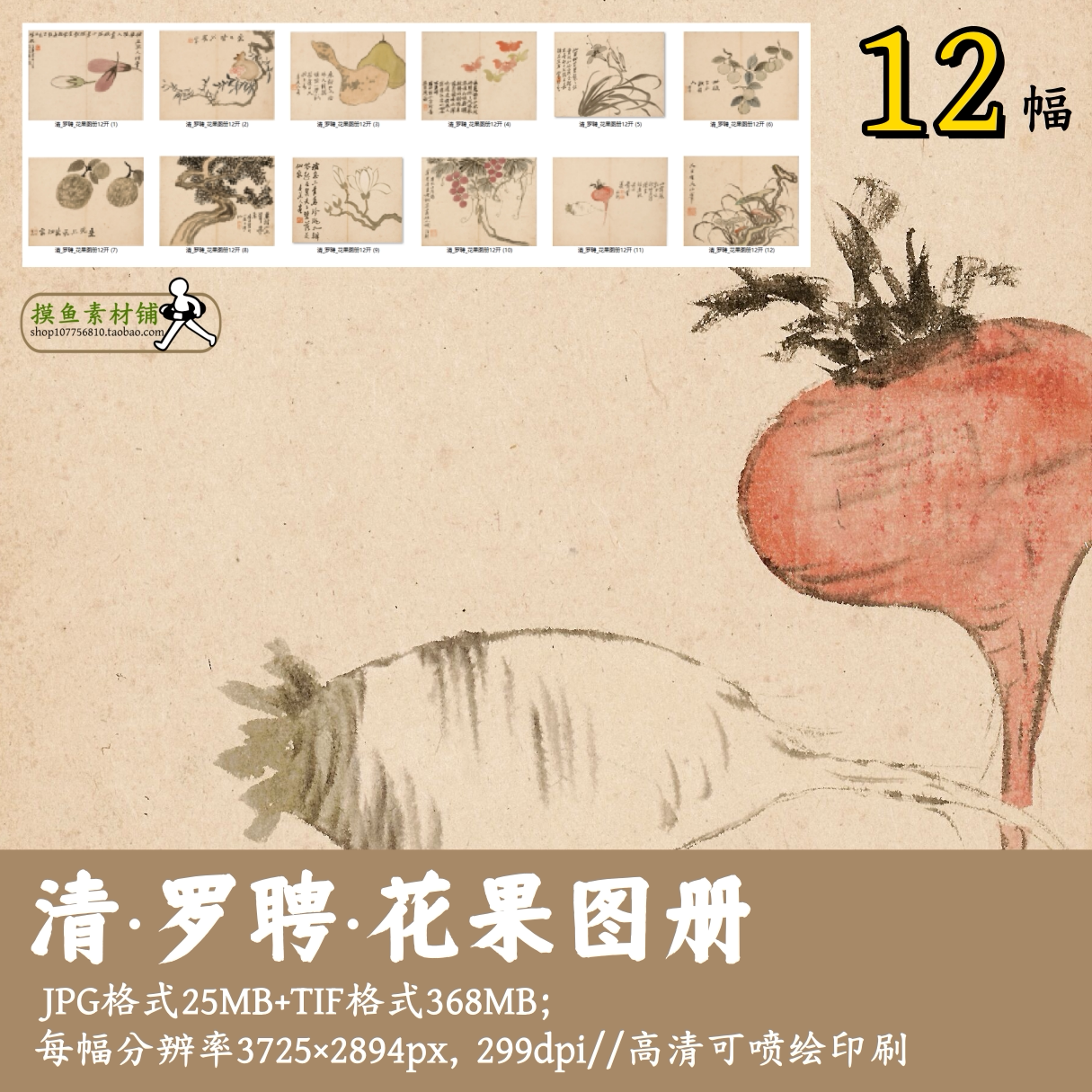 清罗聘/花果图册12开/中国画高清设计素材写生萝卜茄子古画G17712
