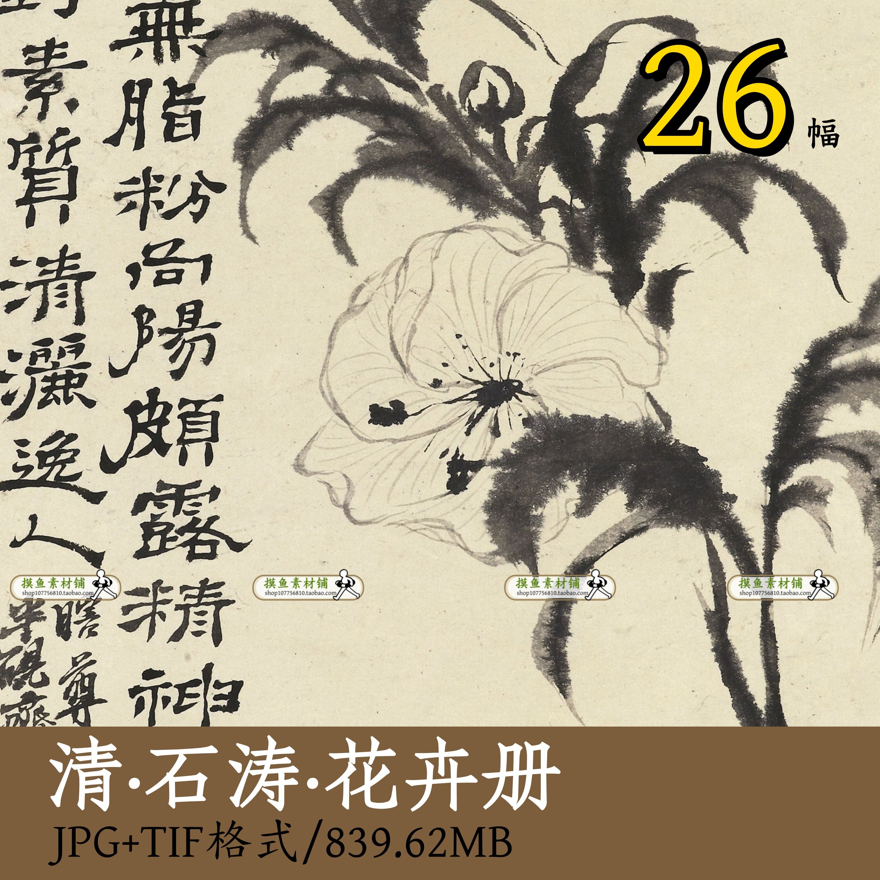 清 石涛 花卉册/中国画工笔花卉小写意荷花梅花古画原图素材Z157