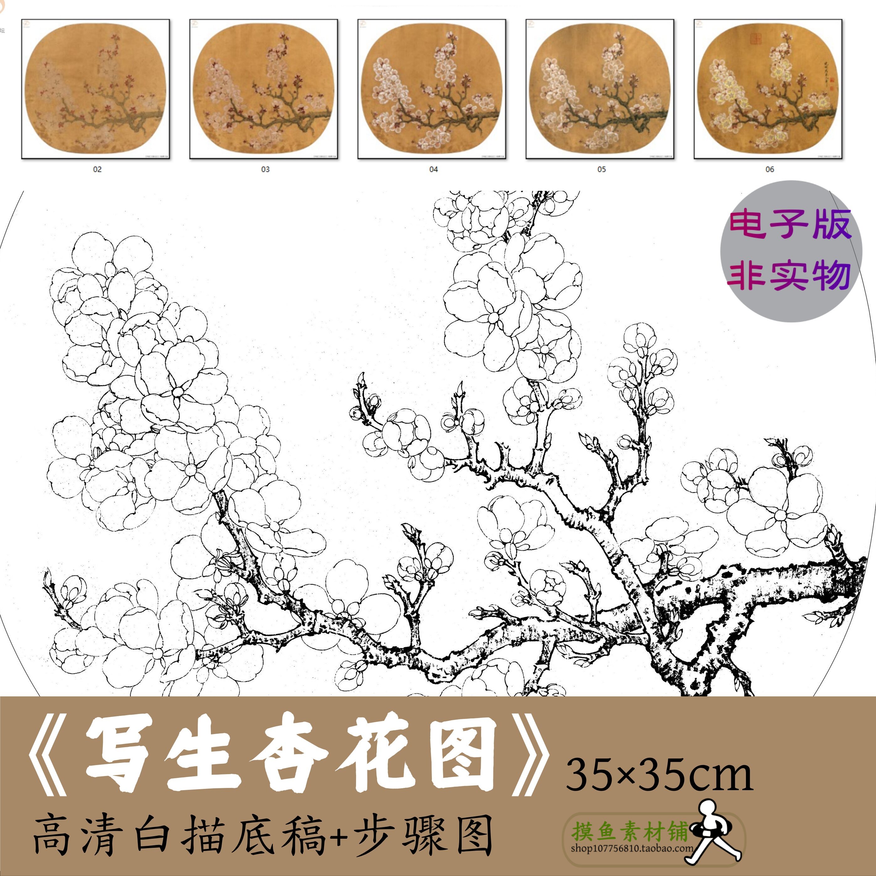 李晓明工笔花鸟写生杏花图宋画白描勾线稿电子版初学高清临摹素材