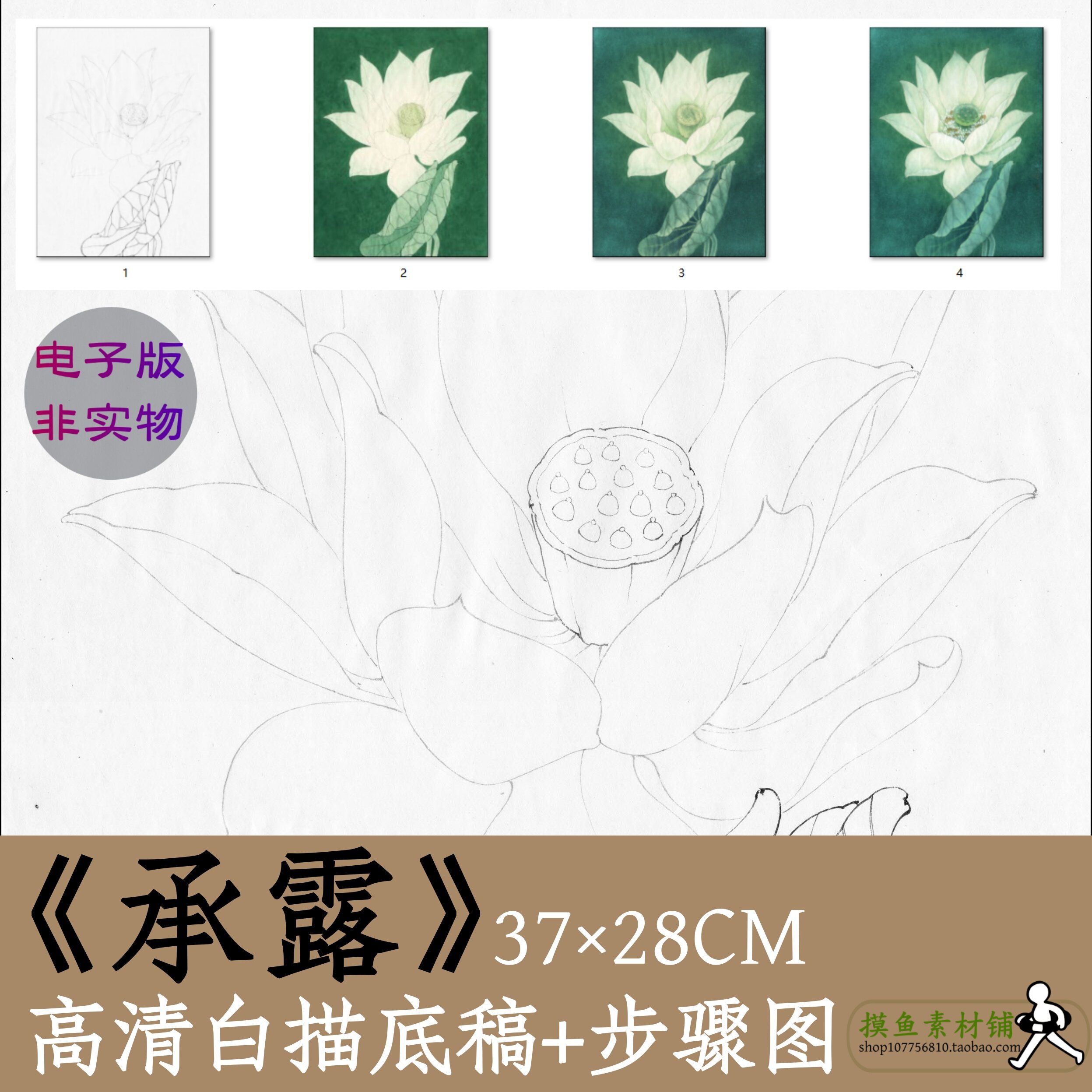 工笔画白描底稿x011《承露