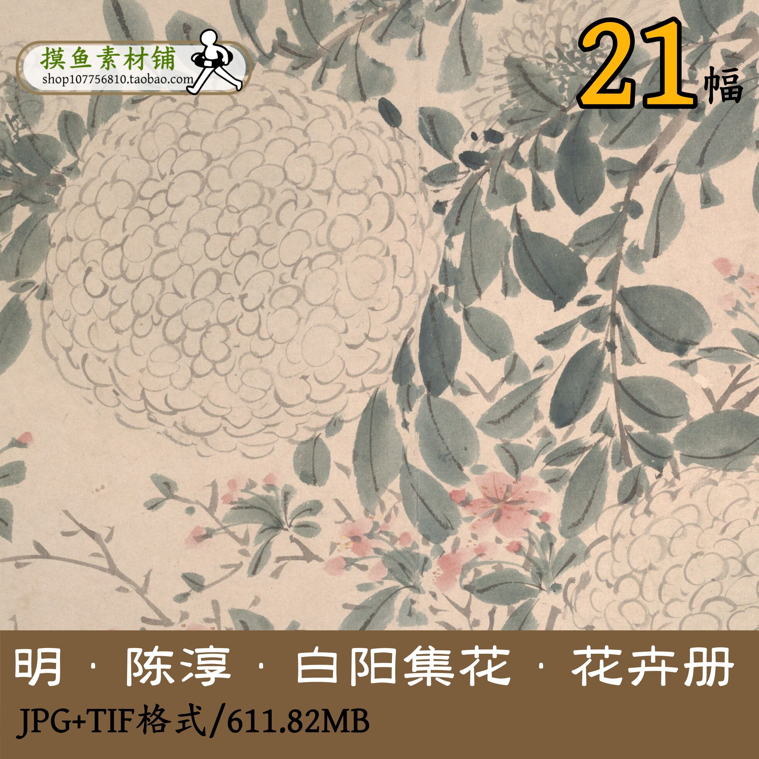 花卉图册明代陈淳陈道复/国画小写意工笔写生花卉临摹参考gd11704