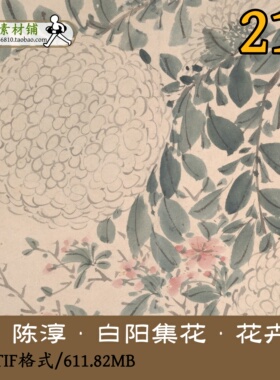 花卉图册明代陈淳陈道复/国画小写意工笔写生花卉临摹参考gd11704