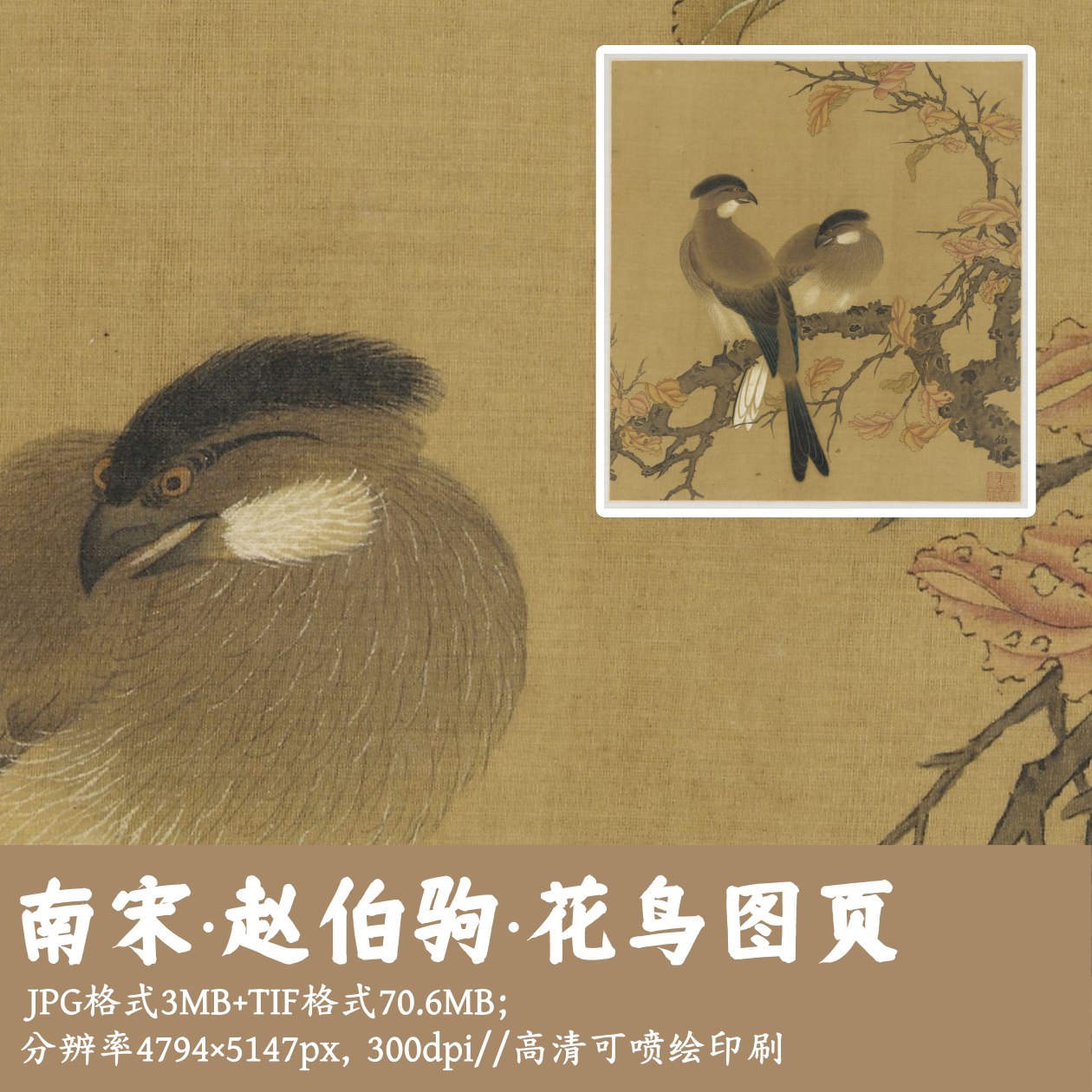 宋赵伯驹/花鸟图页/中国画工笔花鸟画电子版装饰画临摹素材G14311