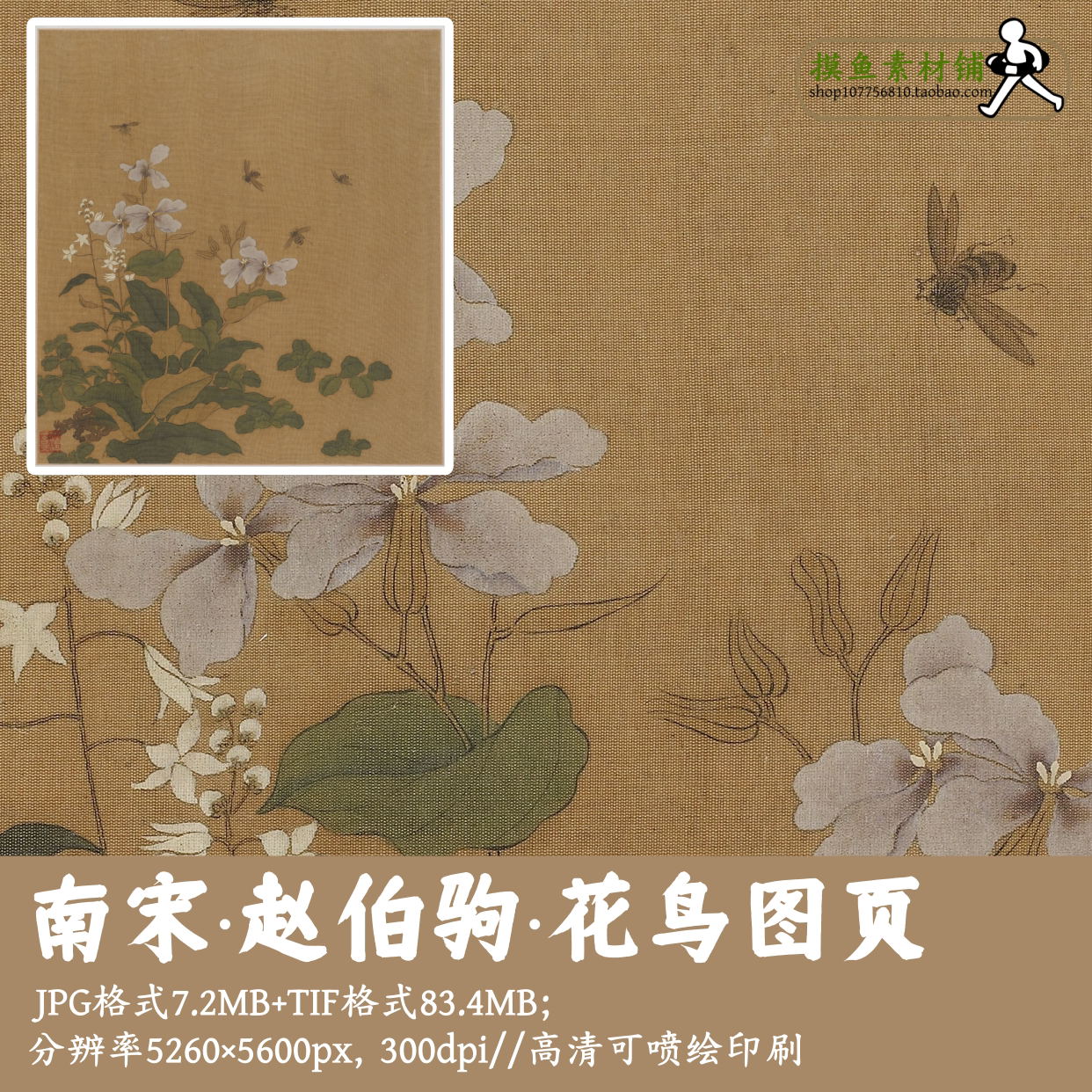 南宋赵伯驹/花鸟图页/中国画工笔花鸟画电子版装饰画素材图G14311