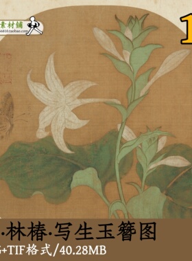 宋代林椿写生玉簪图/高清宋画宋人小品装饰画临摹素材原图gd13619