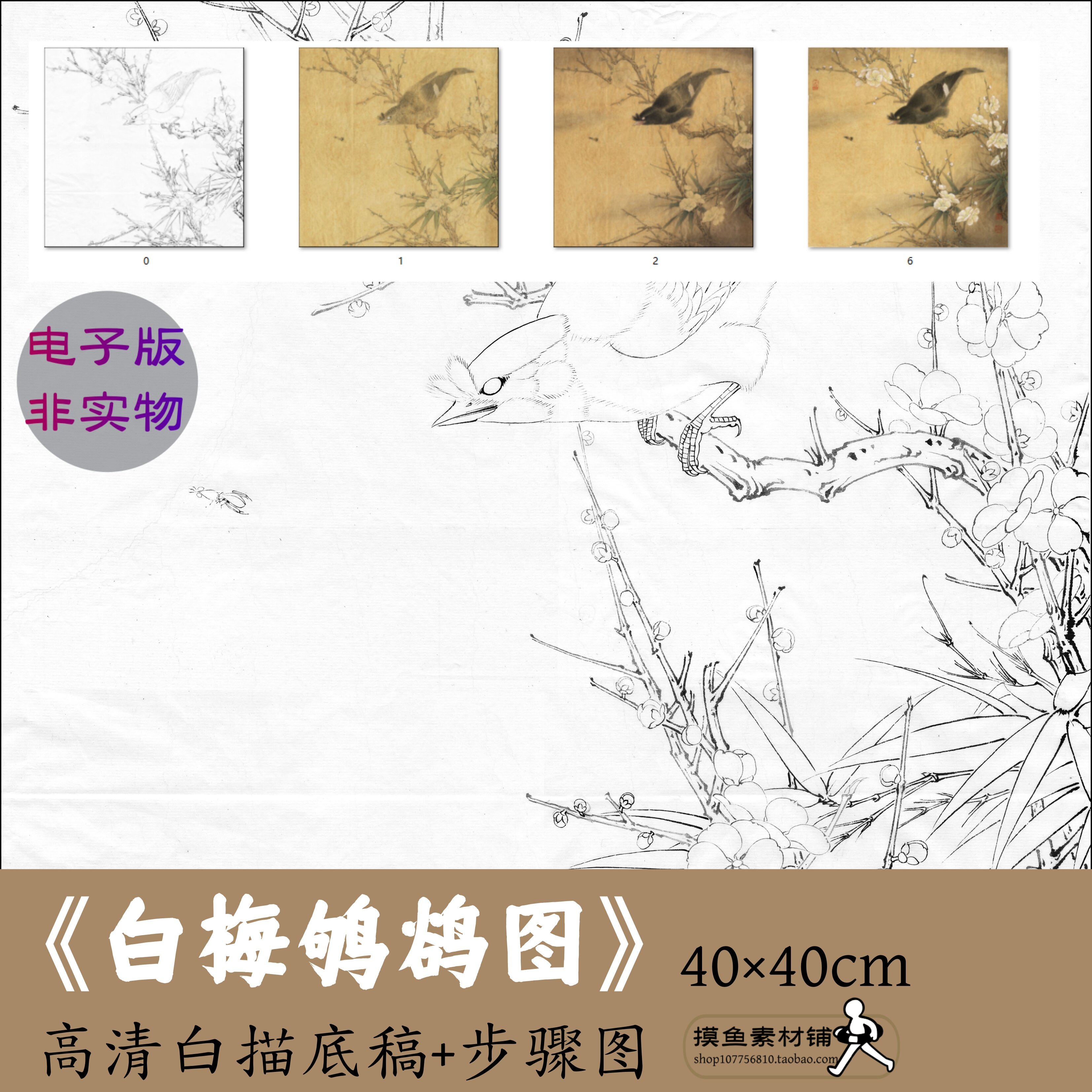 工笔花鸟高清白梅鸲鹆图李晓明白描线稿电子版带步骤图初学者临摹
