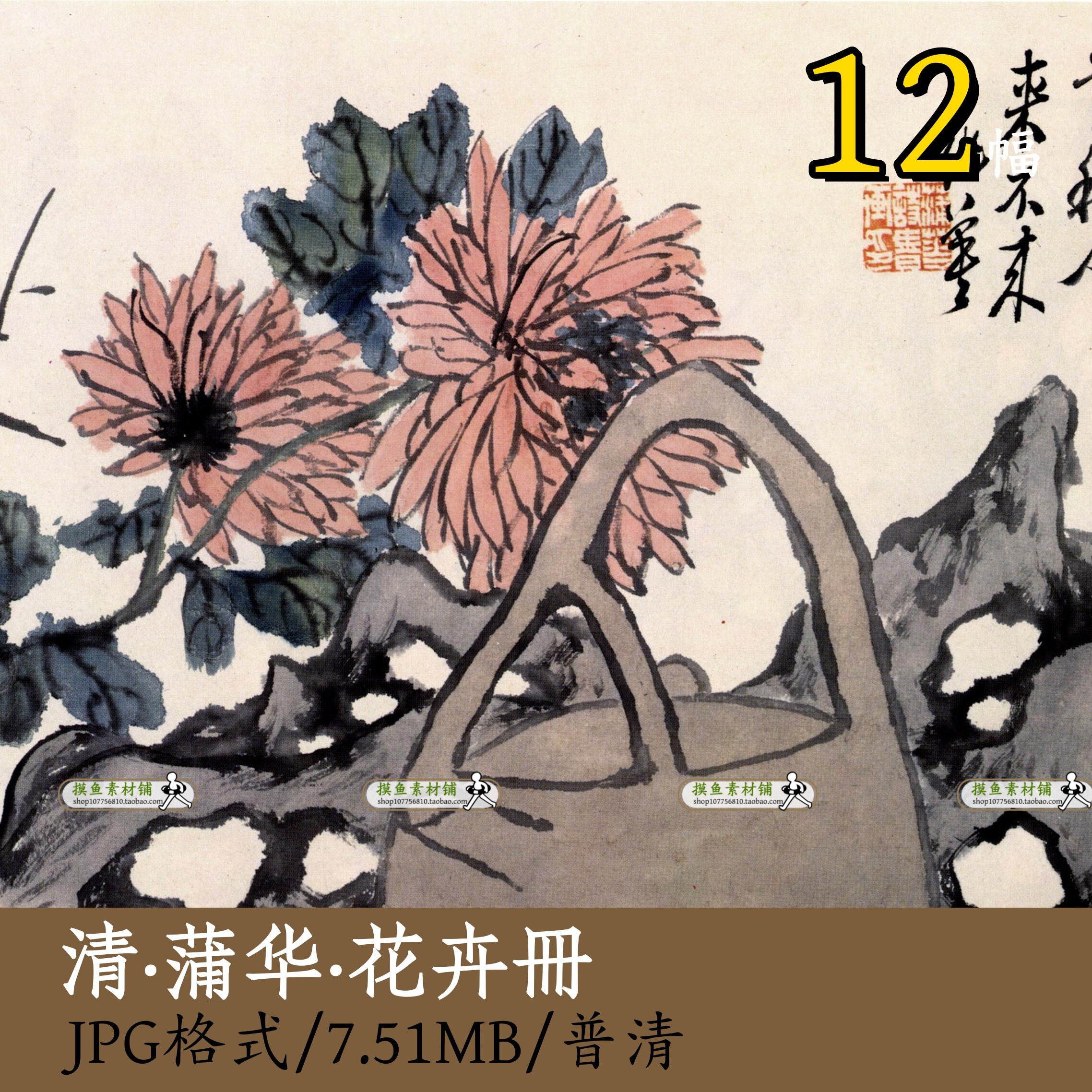 清代画家蒲华花卉册/植物写生灵芝梅花菊花国画绘画图册素材Z136