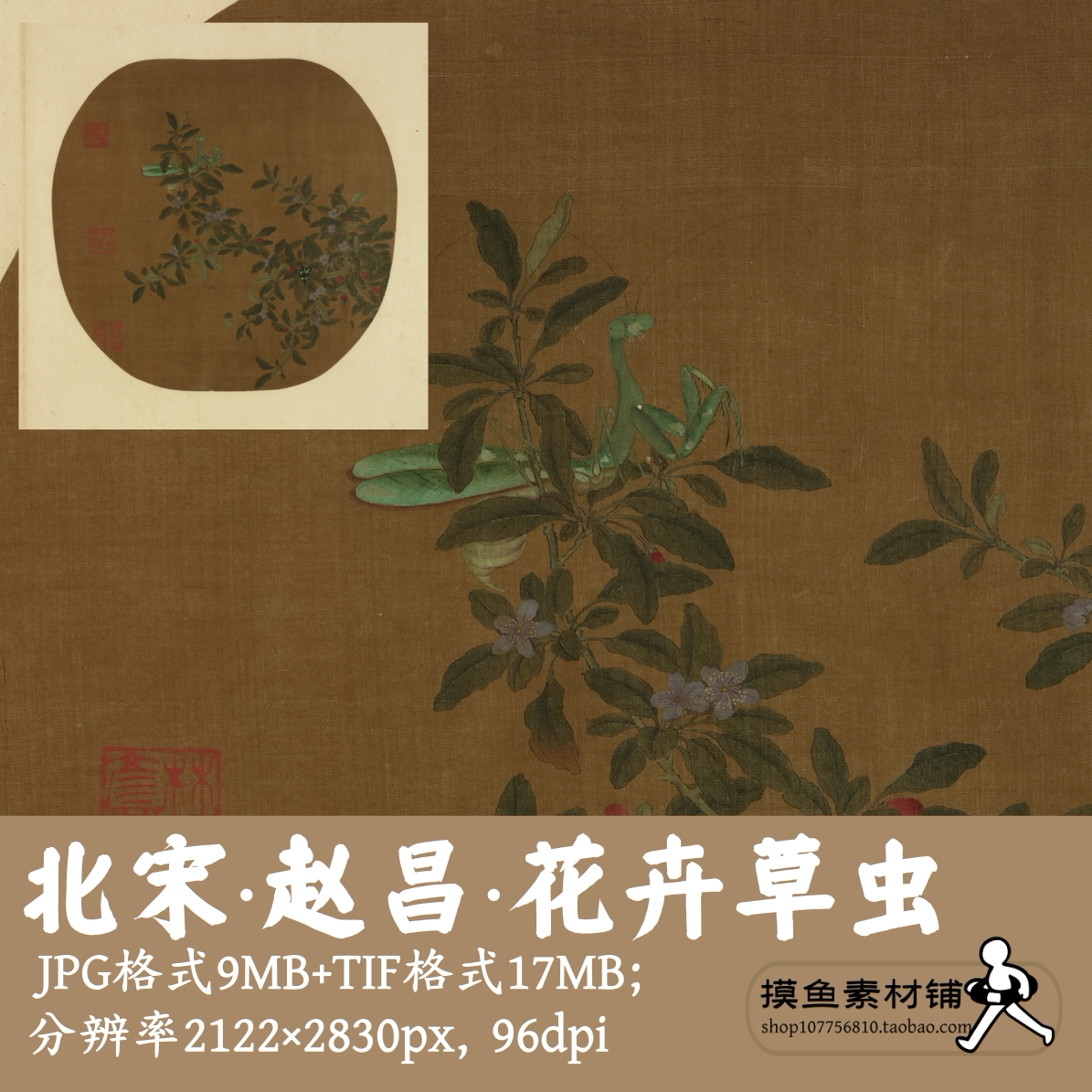 赵昌名人花鸟合璧花卉草虫图电子版中国画宋画小品工笔画g14227