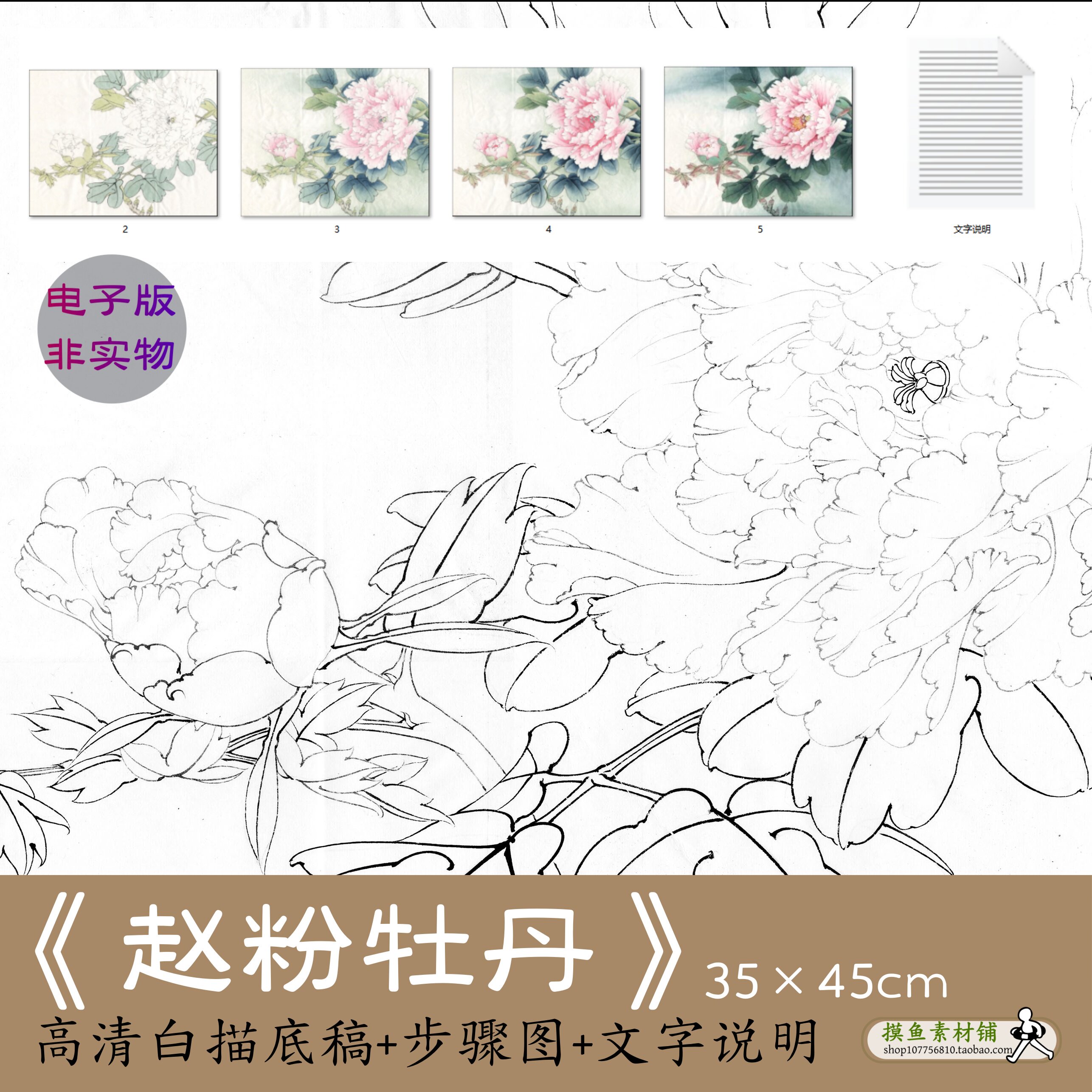 写生牡丹工笔画白描底稿高清电子版 初学者临摹素材步骤教程x099