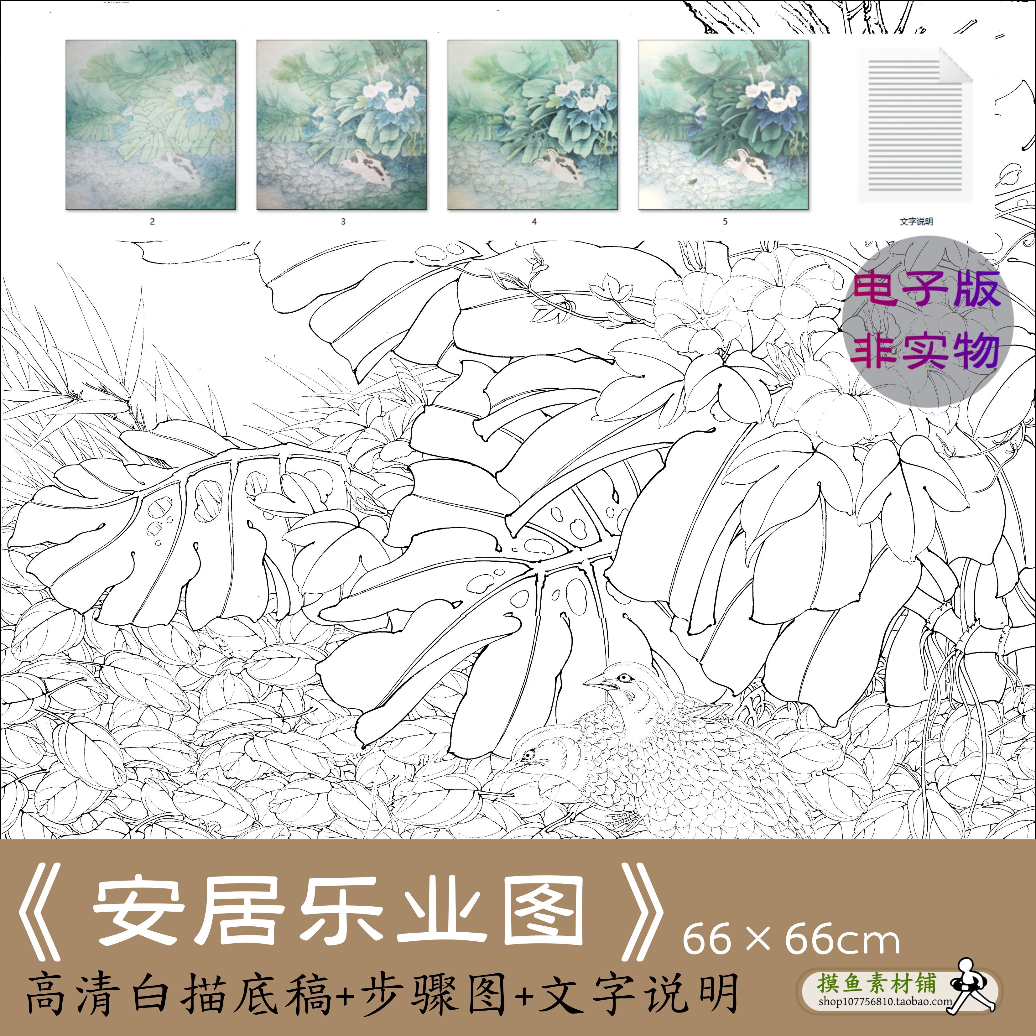 国画工笔花鸟白描底稿步骤图文字说明 初学者鹌鹑芭蕉喇叭花x100