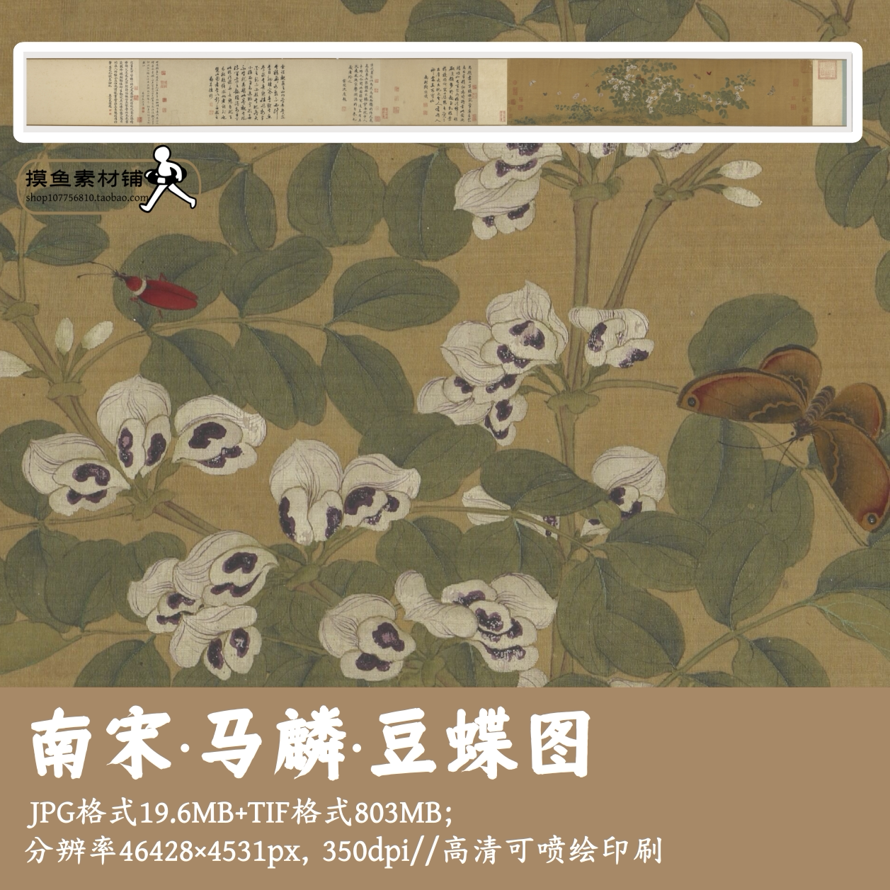 南宋马麟/豆蝶图花卉草虫图卷/中国画植物蝴蝶长卷tif电子版G1796