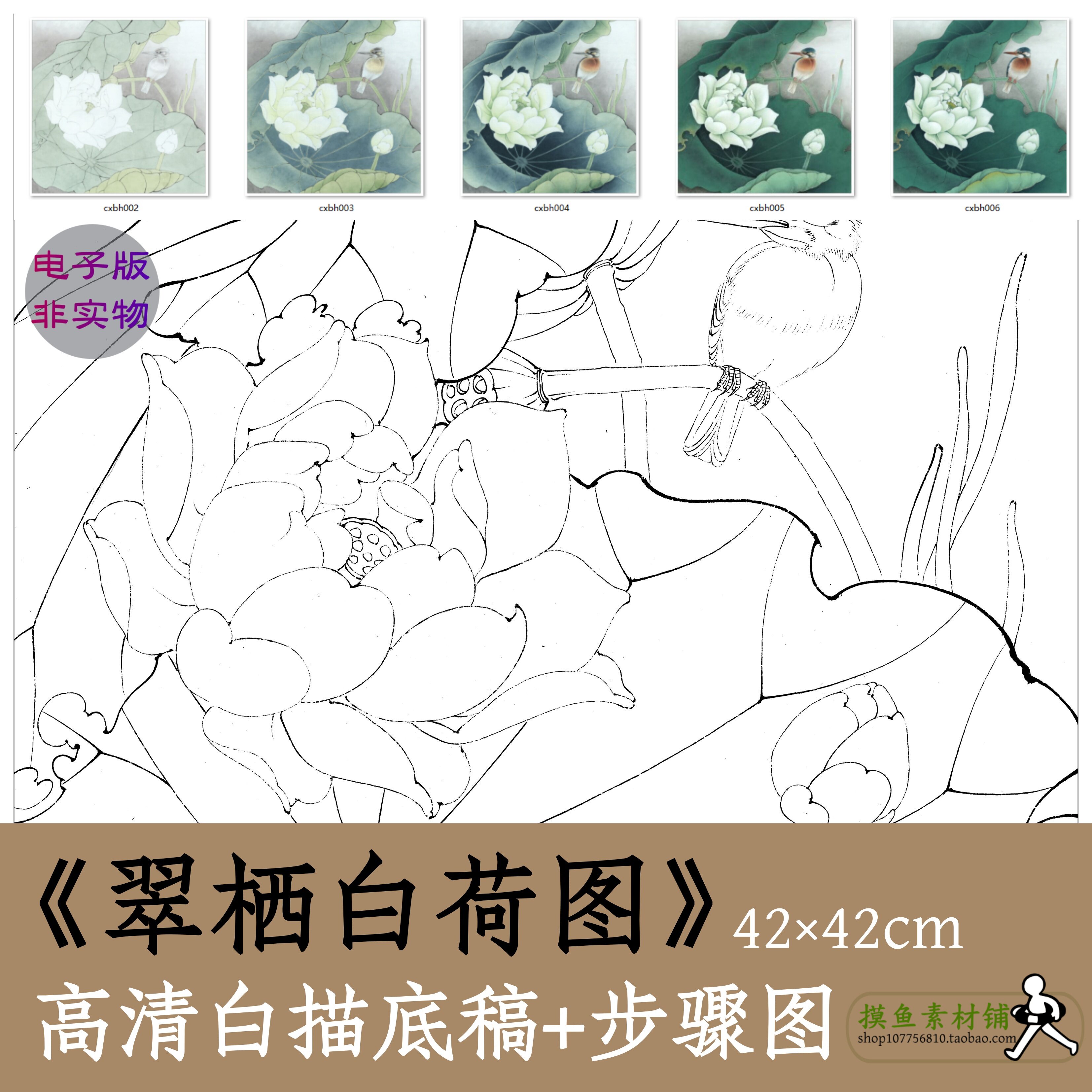 工笔画白描底稿x014《翠栖白荷图
